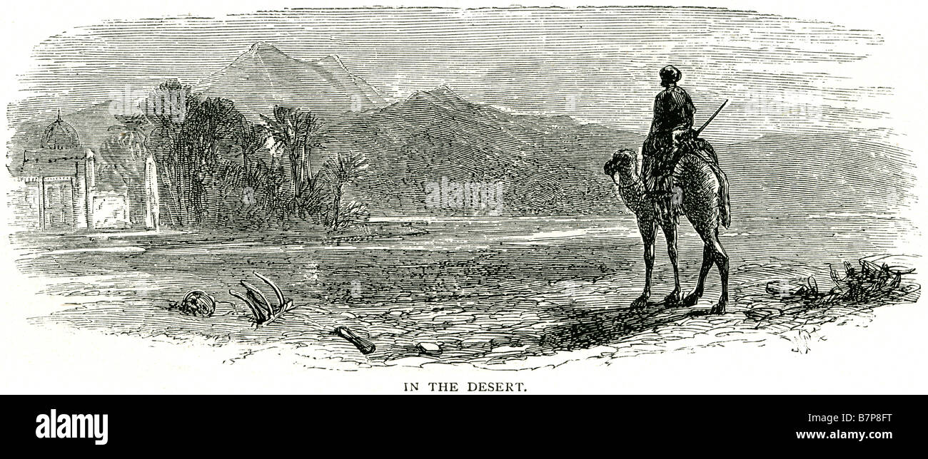 Deserto beduina cammello arabo la casa delle palme sabbia montagne un deserto è un paesaggio o una regione che riceve molto poca precipitazione. Foto Stock