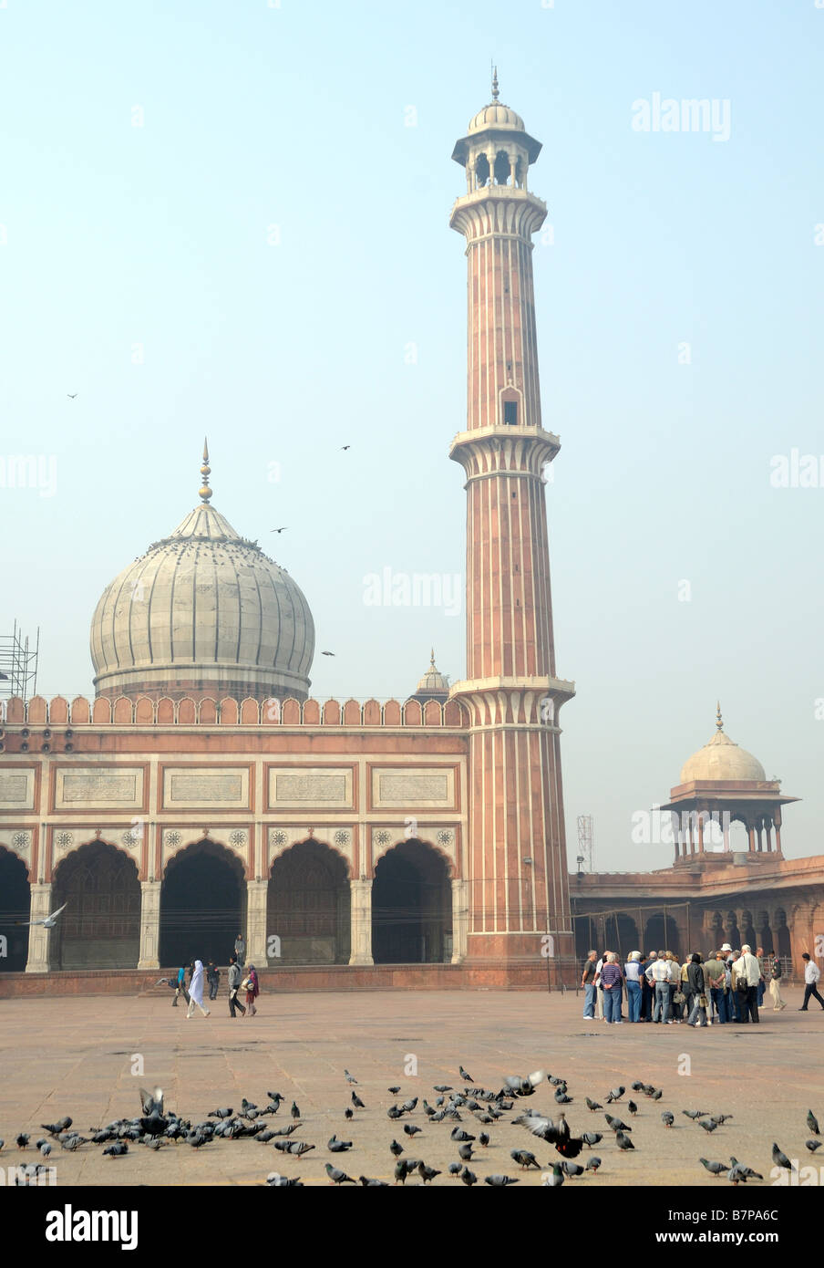 I piccioni viaggiatori e turisti nel grande cortile di Jami Masjid moschea. Uno di marmo e pietra arenaria cupola e un minareto può essere visto Foto Stock