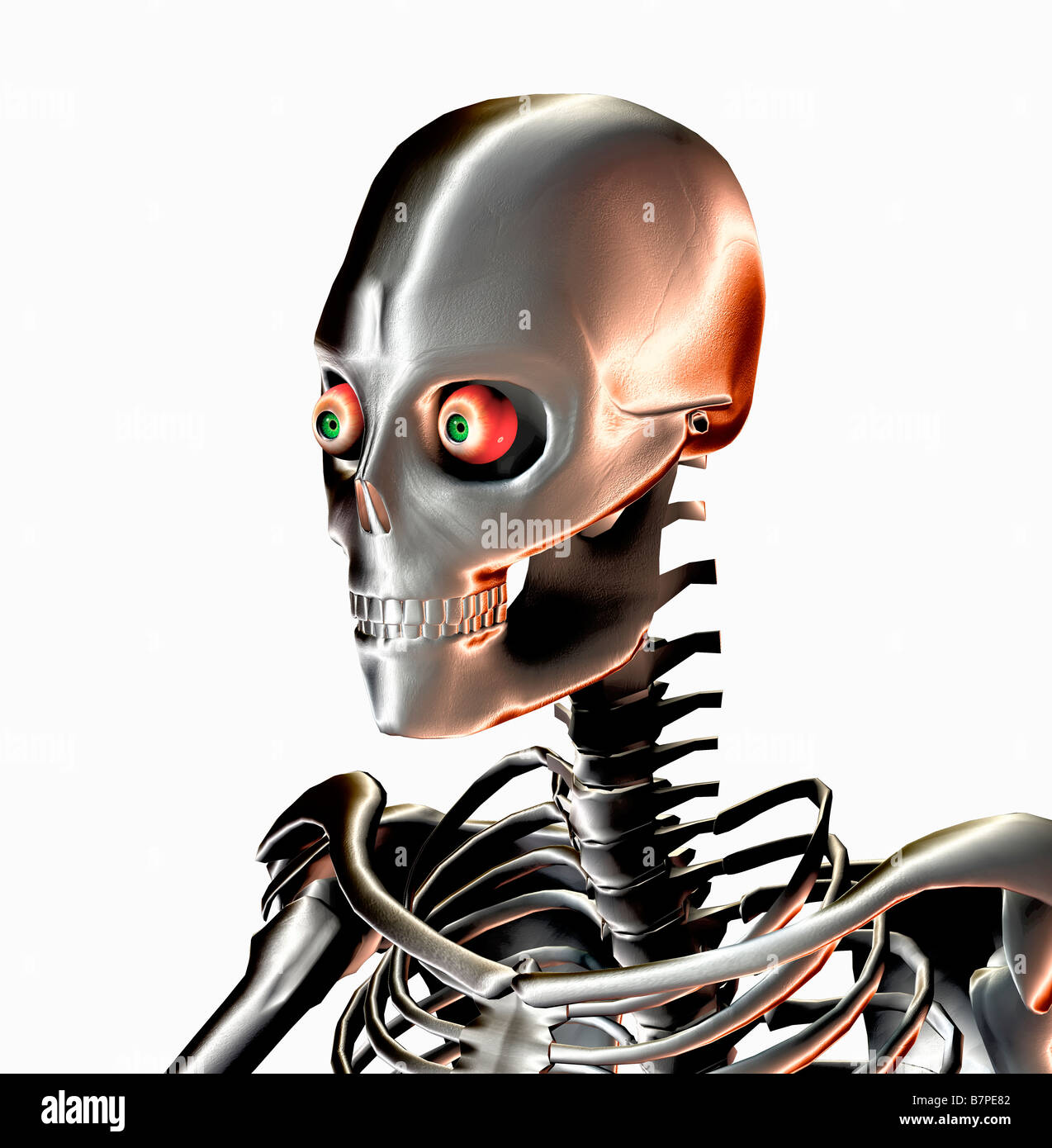 Illustrazione vettoriale di scheletro umano Foto Stock