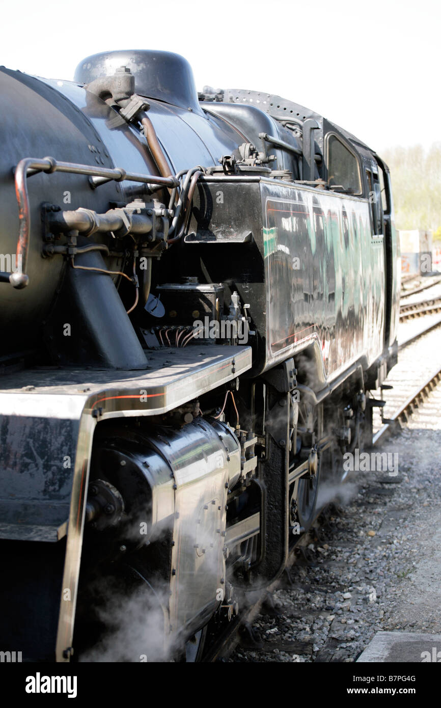 Rampa South Devon Railway Treno a Vapore Trasporti Regno Unito Foto Stock