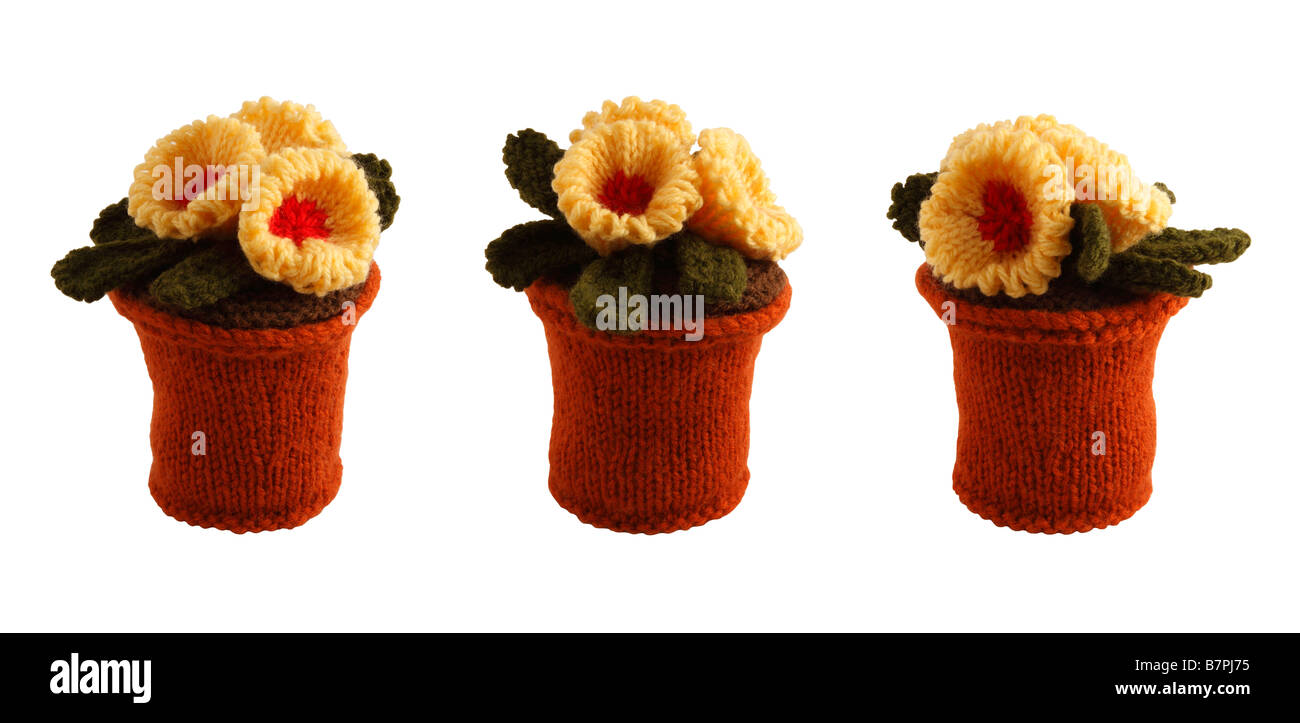 Novità fiori di maglia e pentole - cut-outs contro uno sfondo bianco Foto Stock