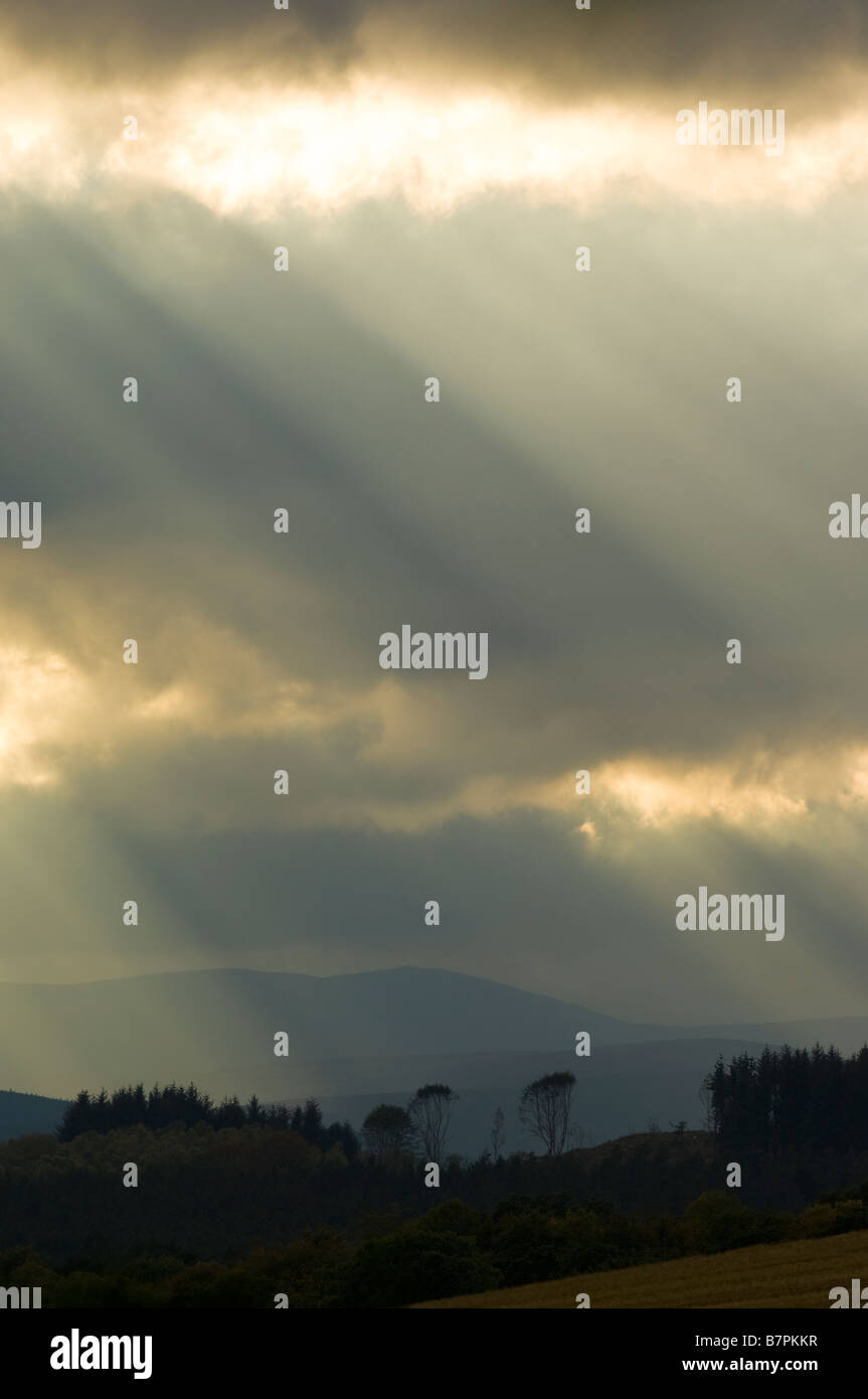 Nuvole e alberi di luce del sole su campagna vicino a Banchory, Aberdeenshire. Foto Stock
