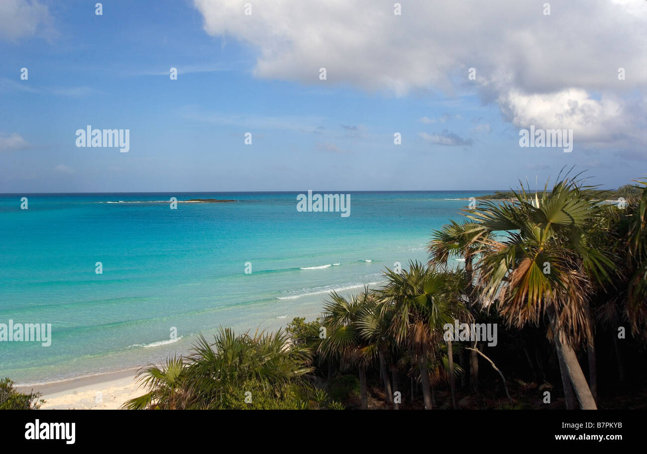Bahamas Exuma Land Sea Park Foto Stock