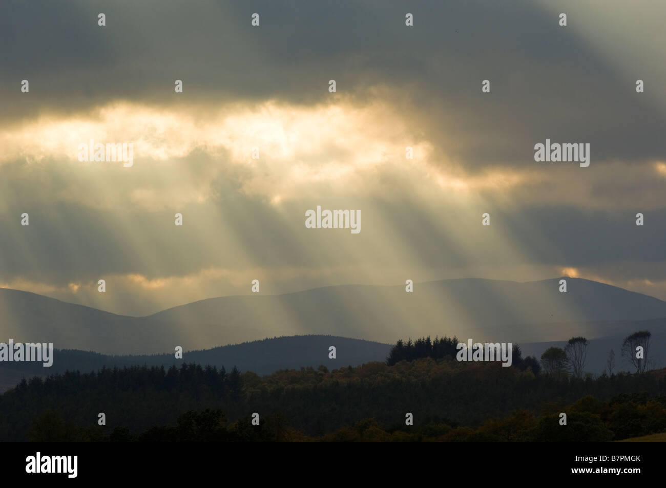 Nuvole e alberi di luce del sole su campagna vicino a Banchory, Aberdeenshire. Foto Stock