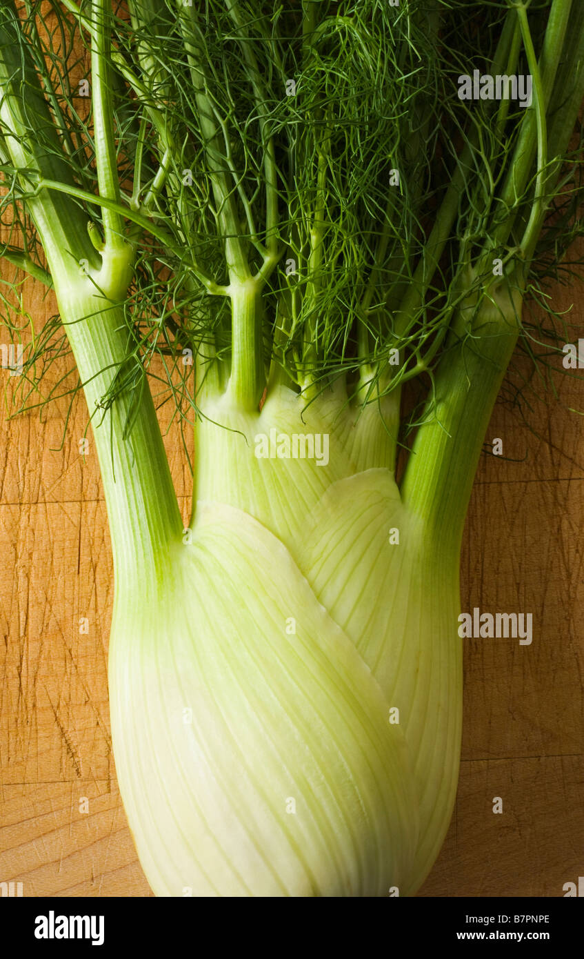 Studio nature morte di finocchio su un tagliere Foto Stock