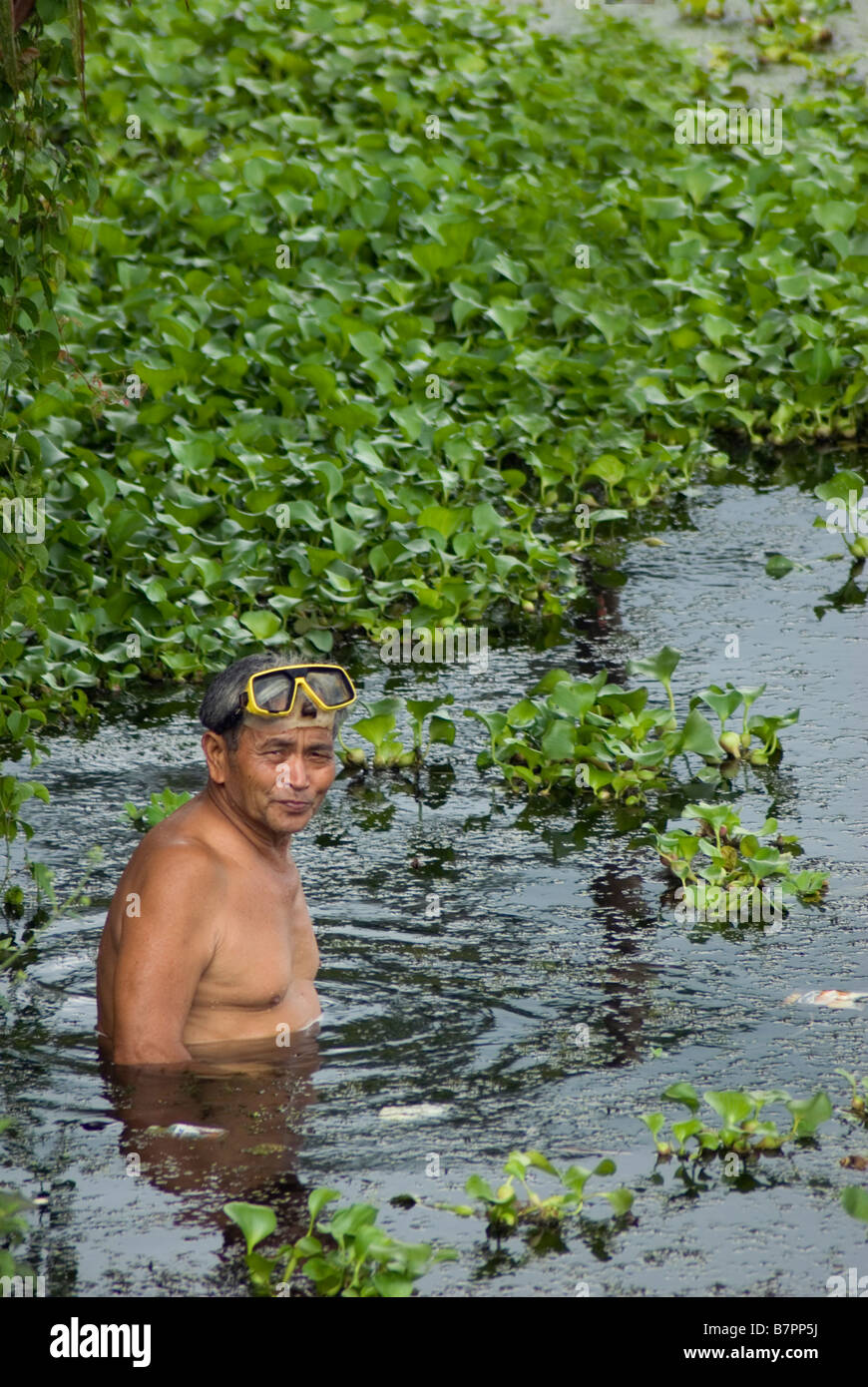Mentre sommozzatori Goditi le famose scogliere di Sulawesi settentrionale, isole un coltivatore di pesce è al lavoro nel lago Tondano Foto Stock