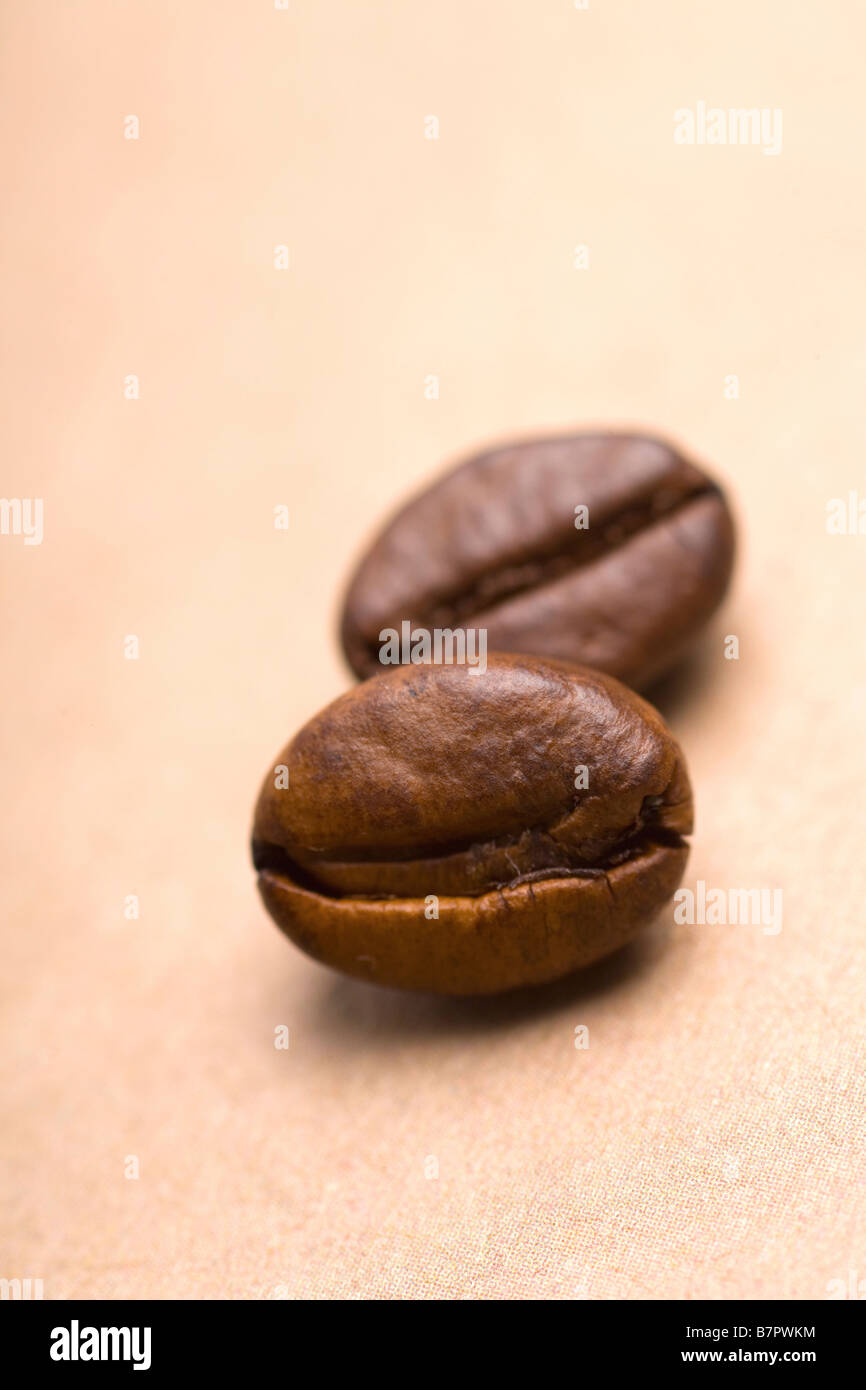 Chicco di caffè Foto Stock