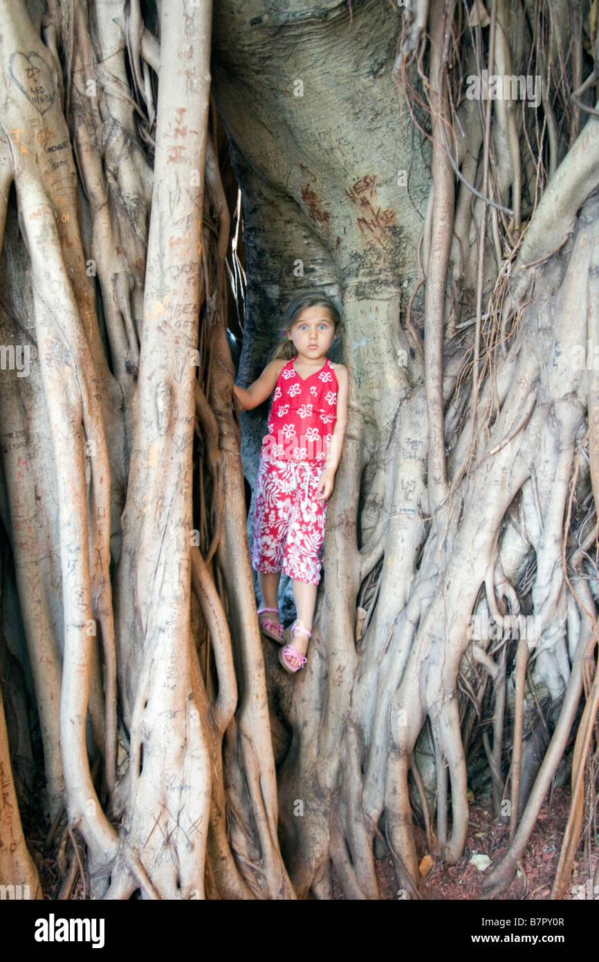 ragazza in un albero Foto Stock