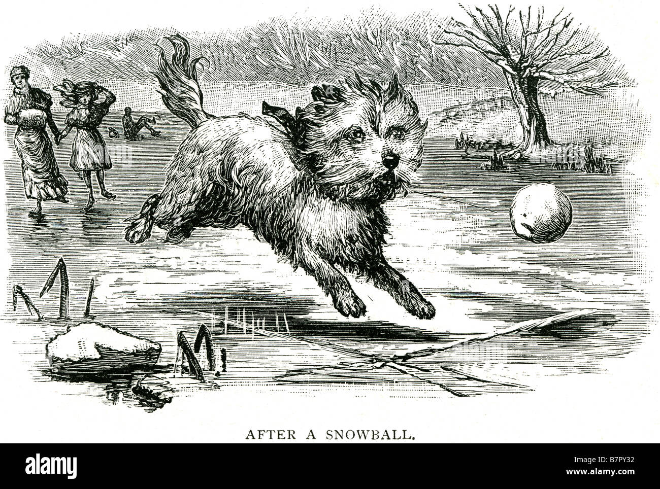 Cane snowball Fetch Winter Walking Park divertimento all'aperto pet a freddo ghiaccio canino a piedi madre figlia piccola struttura animale al di fuori del paese s Foto Stock