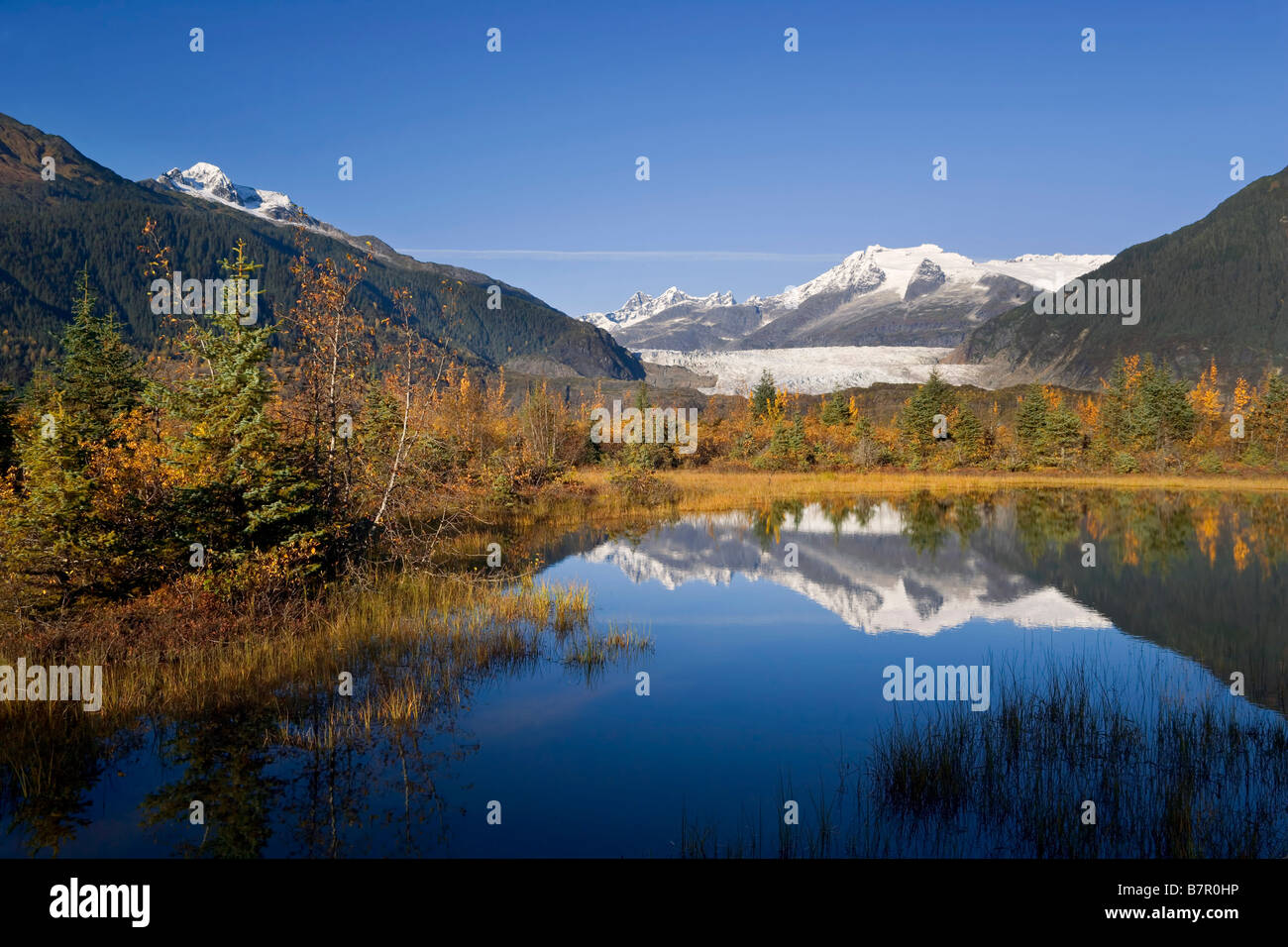 Mendenhall Glacier & Coast Mtns riflettendo in stagno Tongass National Forest Southeast Alaska autunno Foto Stock