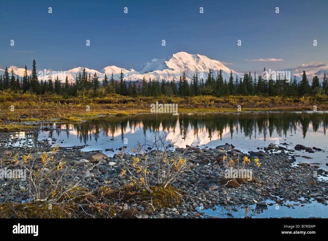 L'Alaska Range e Denali north face sono riflesse nella tundra piccolo stagno nel Parco Nazionale di Denali, Alaska. Autunno 2008 Foto Stock