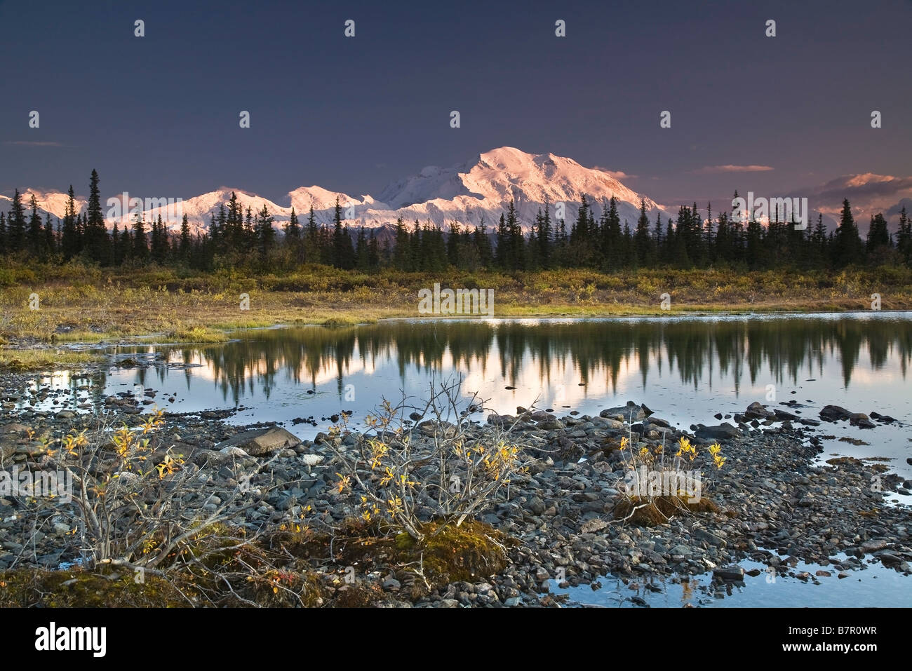 L'Alaska Range e Denali north face sono riflesse nella tundra piccolo stagno nel Parco Nazionale di Denali, Alaska. Autunno 2008 Foto Stock