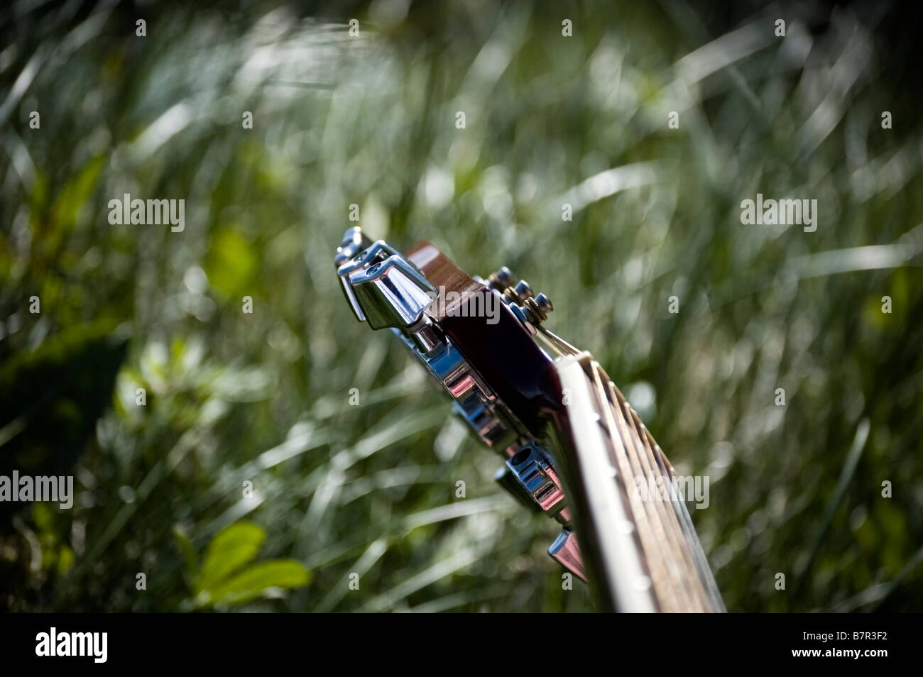 collo della chitarra Foto Stock