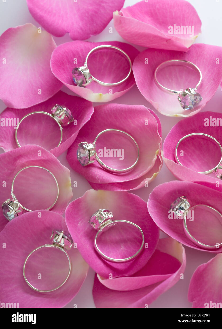 Diversi anelli di fidanzamento Diamond Solitaire su petali di rosa rosa Foto Stock