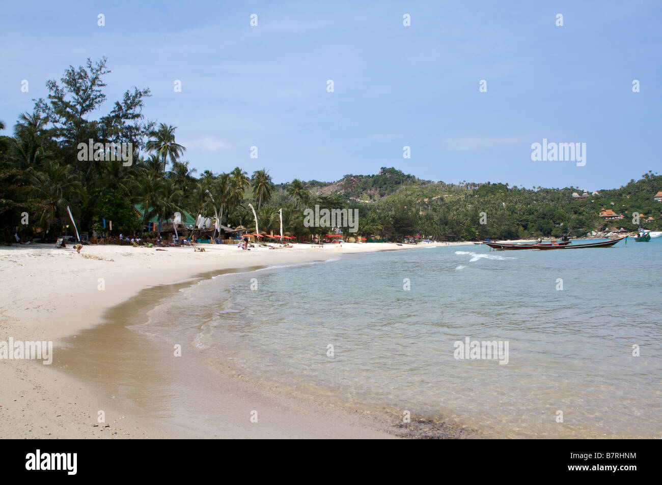 Cielo blu sopra il palm alberata Ao Thong Nai Pan Noi beach Koh Phangan Thailandia Foto Stock