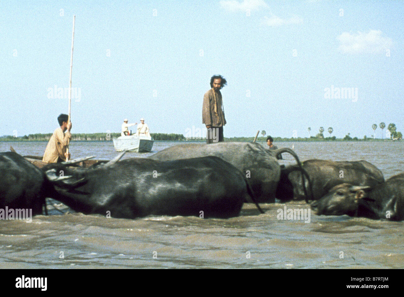 Mua len trau Il Buffalo Boy Anno: 2004 Vietnam / Francia Direttore:Minh Nguyen-Vo Lu Le Foto Stock