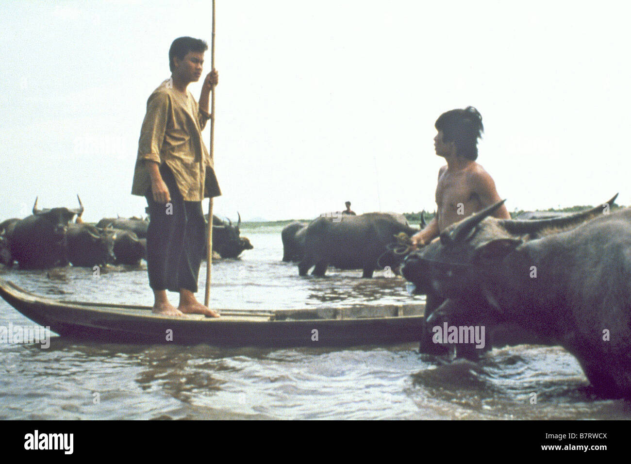 Mua len trau Il Buffalo Boy Anno: 2004 Vietnam / Francia Direttore:Minh Nguyen-Vo Lu Le Foto Stock