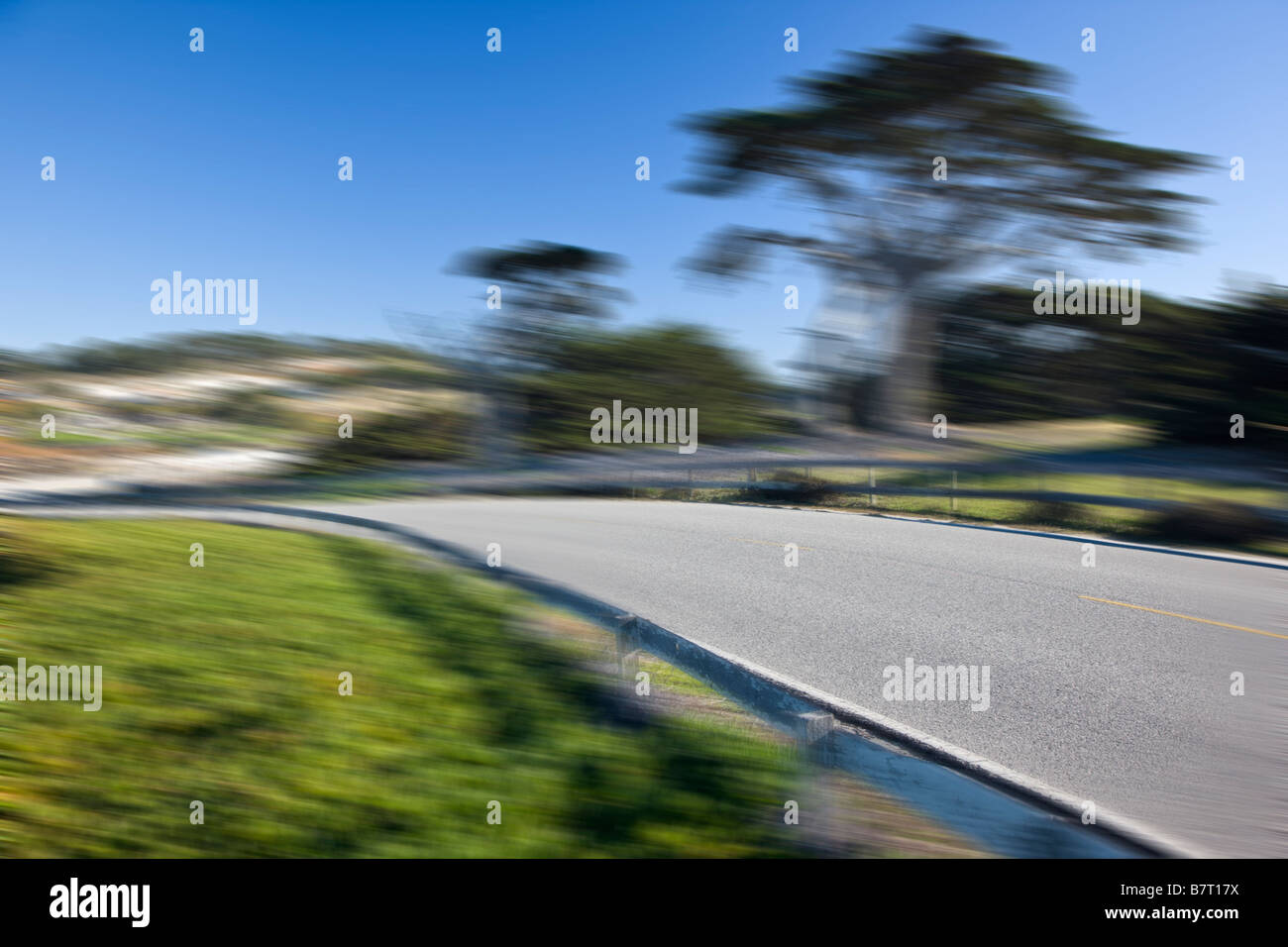 Monterey cipressi la linea 17 Mile Drive vicino a Cypress Point Lookout, spiaggia ghiaiosa, penisola di Monterey, California, Stati Uniti d'America Foto Stock