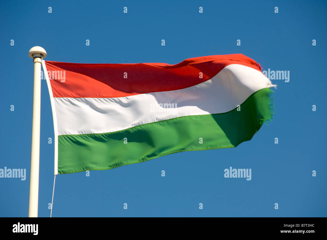 Bandiera ungherese che vola da un pennone bianco in una giornata di sole. Vista contro un cielo blu chiaro. Foto Stock