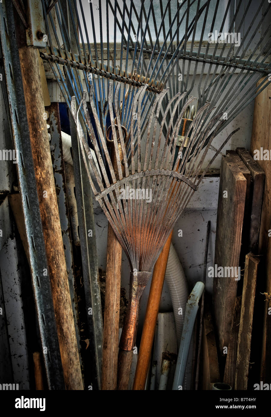 Vecchio rastrelli foglia In Tool Shed, STATI UNITI D'AMERICA Foto Stock