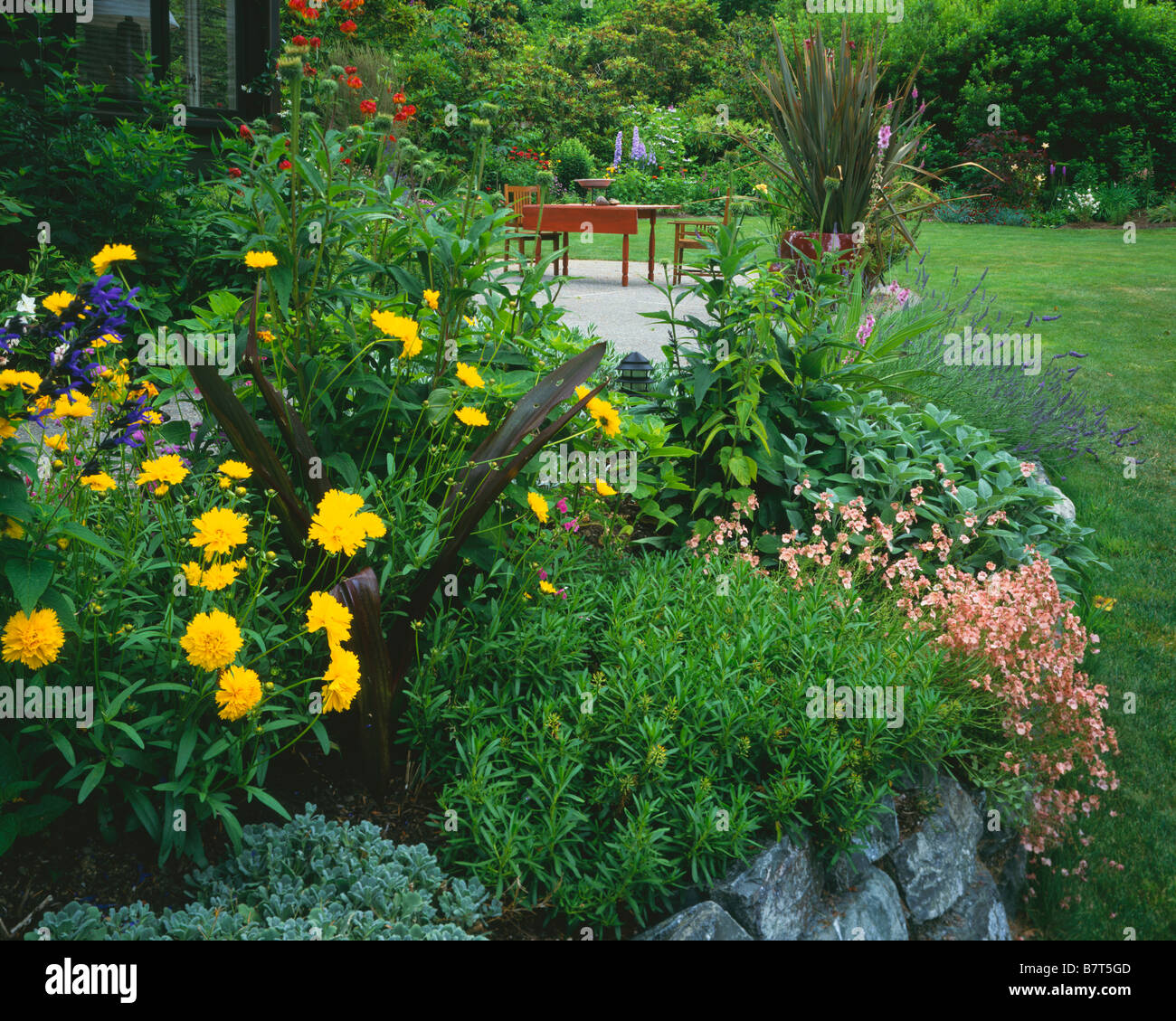Aubrieta coreopsis salvia gigli in argento e bush diascia vicino a un patio circondato da giardino più letti di Vashon Island, WA Foto Stock