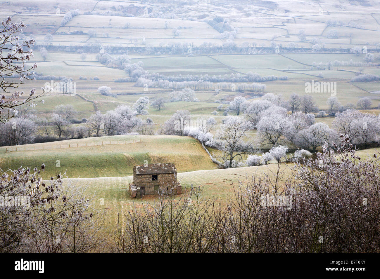 Campo fienile su un gelido giorno Wensleydale Yorkshire Dales Inghilterra Foto Stock