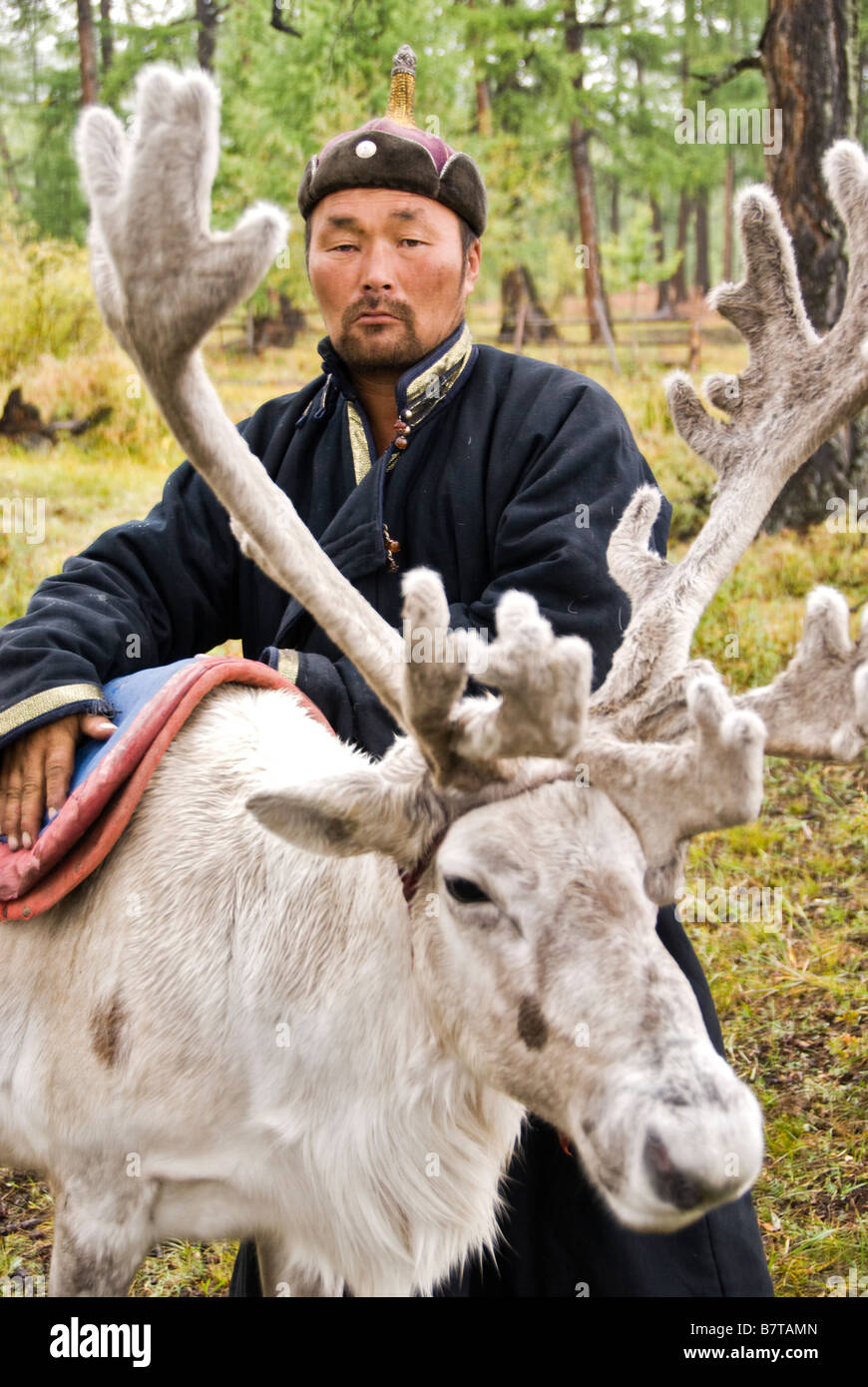 Uomo con le renne, nel nord della Mongolia. Foto Stock