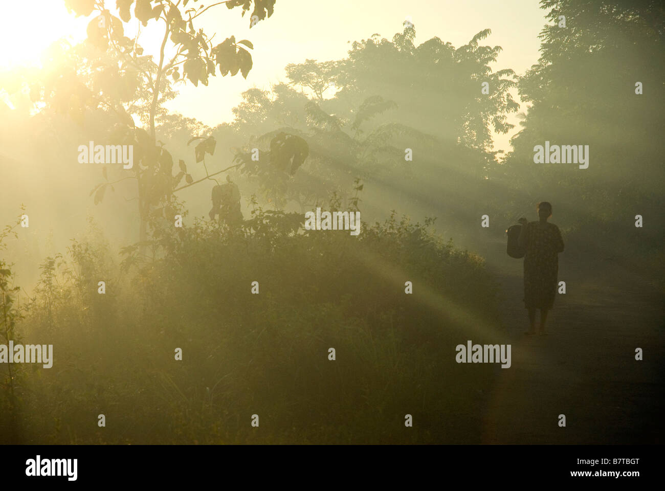 Una donna cammina per il bene attraverso un Sumba foresta di teak Foto Stock