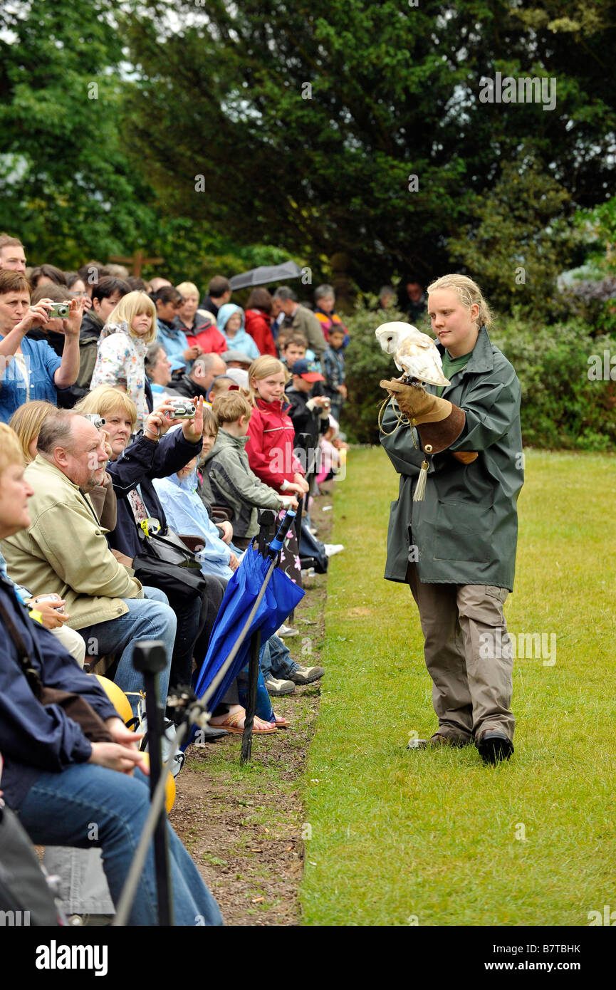 La folla guarda il display del gufo British Barbagianni Tyto alba e gestore di falconeria al World Owl Trust Muncaster Castle Cumbria Foto Stock