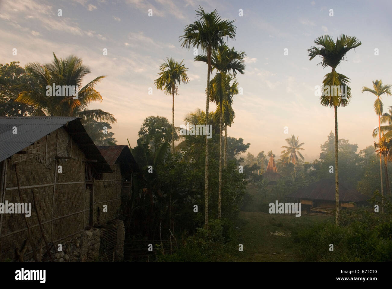 Misty dawn in un villaggio nella parte occidentale di Sumba Foto Stock
