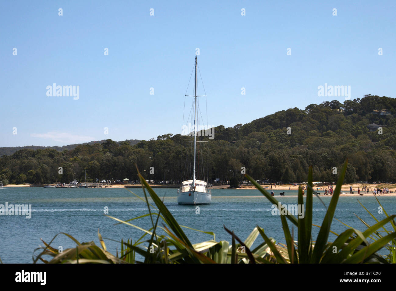 Yacht in acqua vicino a Newport sulle spiagge del nord di Sydney Foto Stock
