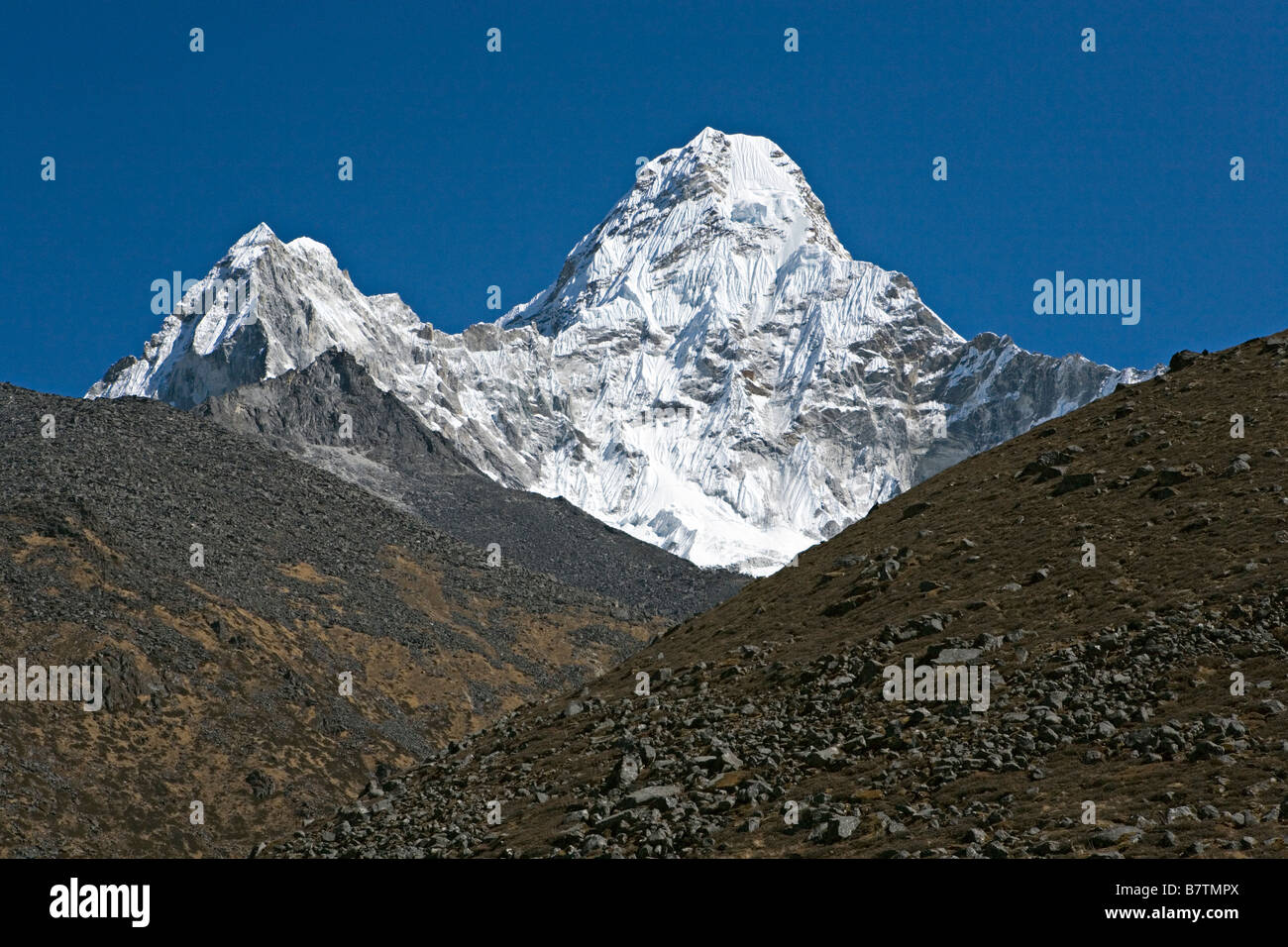 Amadablam Majestic Mountain sullo sfondo si vede nella regione di Khumbu valle Everest Nepal Foto Stock