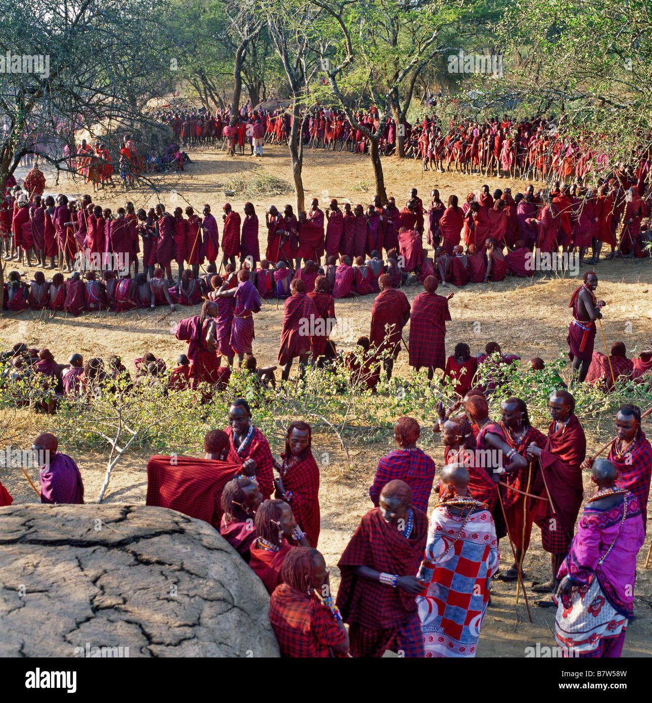 Kenya, Kajiado District, Ol Doinyo Orok. Un grande raduno di Guerrieri Maasai durante una cerimonia Eunoto Foto Stock