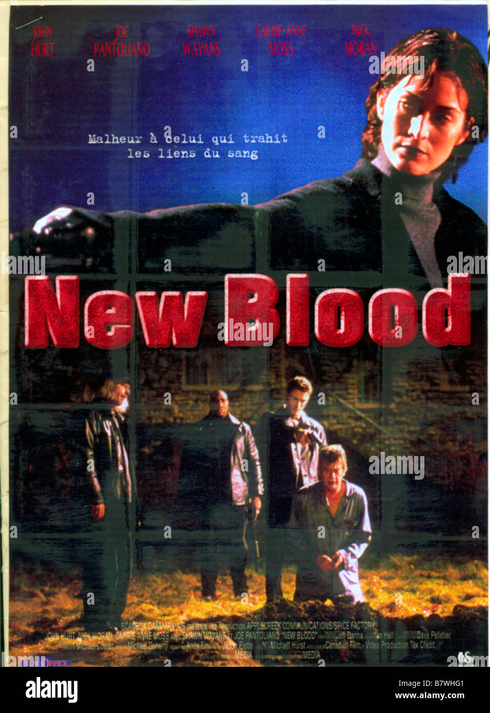 Nuovo sangue sangue nuovo anno: 1999 - REGNO UNITO CANADA Affiche, Poster Direttore : Michael Hurst Foto Stock
