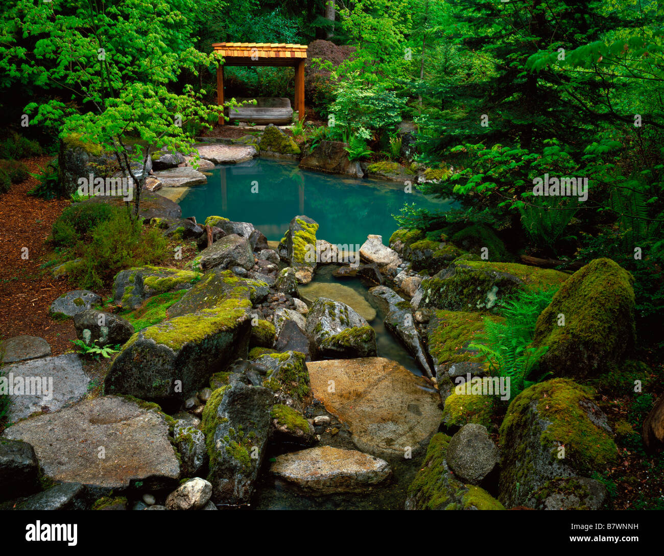Moss coperto di massi conducono ad una acqua di sale piscina a tuffo nel Santuario di Welch, Woodinville, WA Foto Stock
