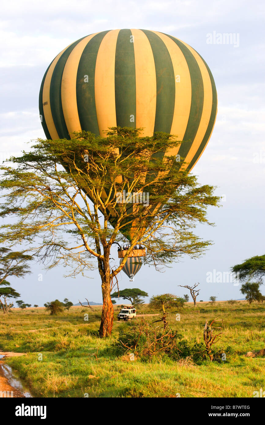 Tanzania mongolfiera safari Ottobre 2008 Foto Stock