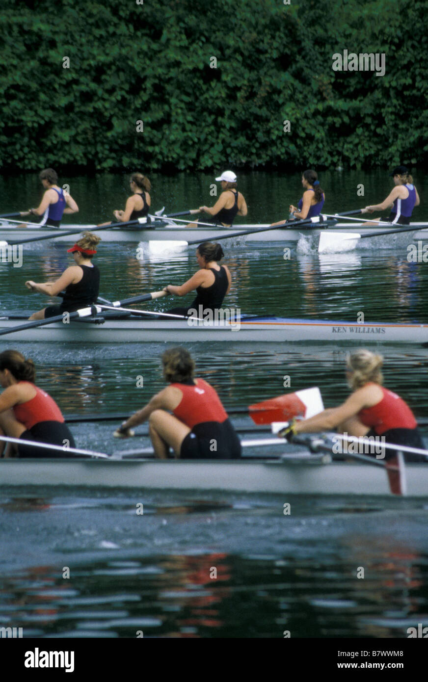 Scullers sul Tamigi London Ontario Canada Foto Stock