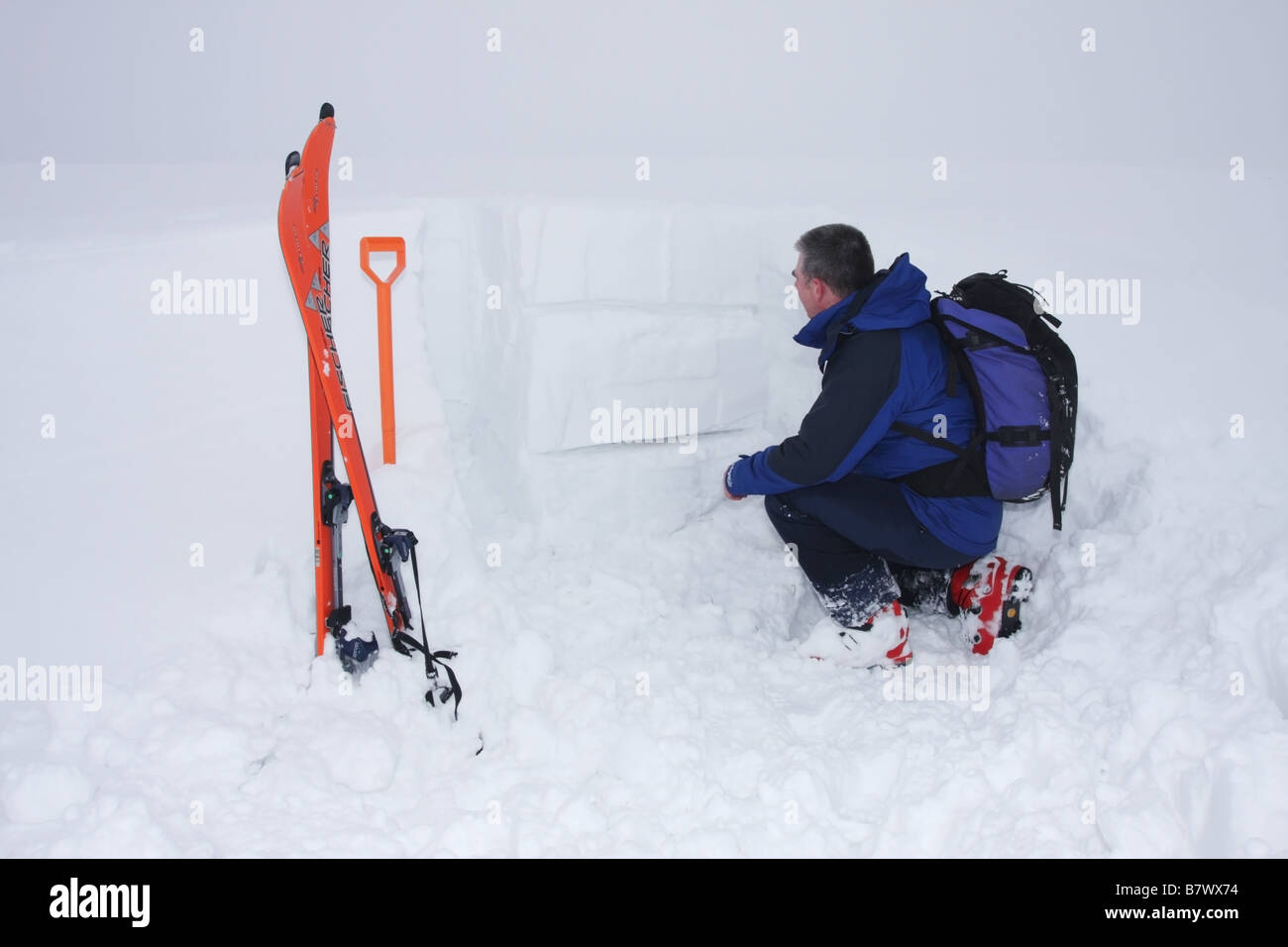 Sciatore esaminando strati nel manto nevoso al fine di valutare il pericolo di valanghe, Regno Unito Foto Stock