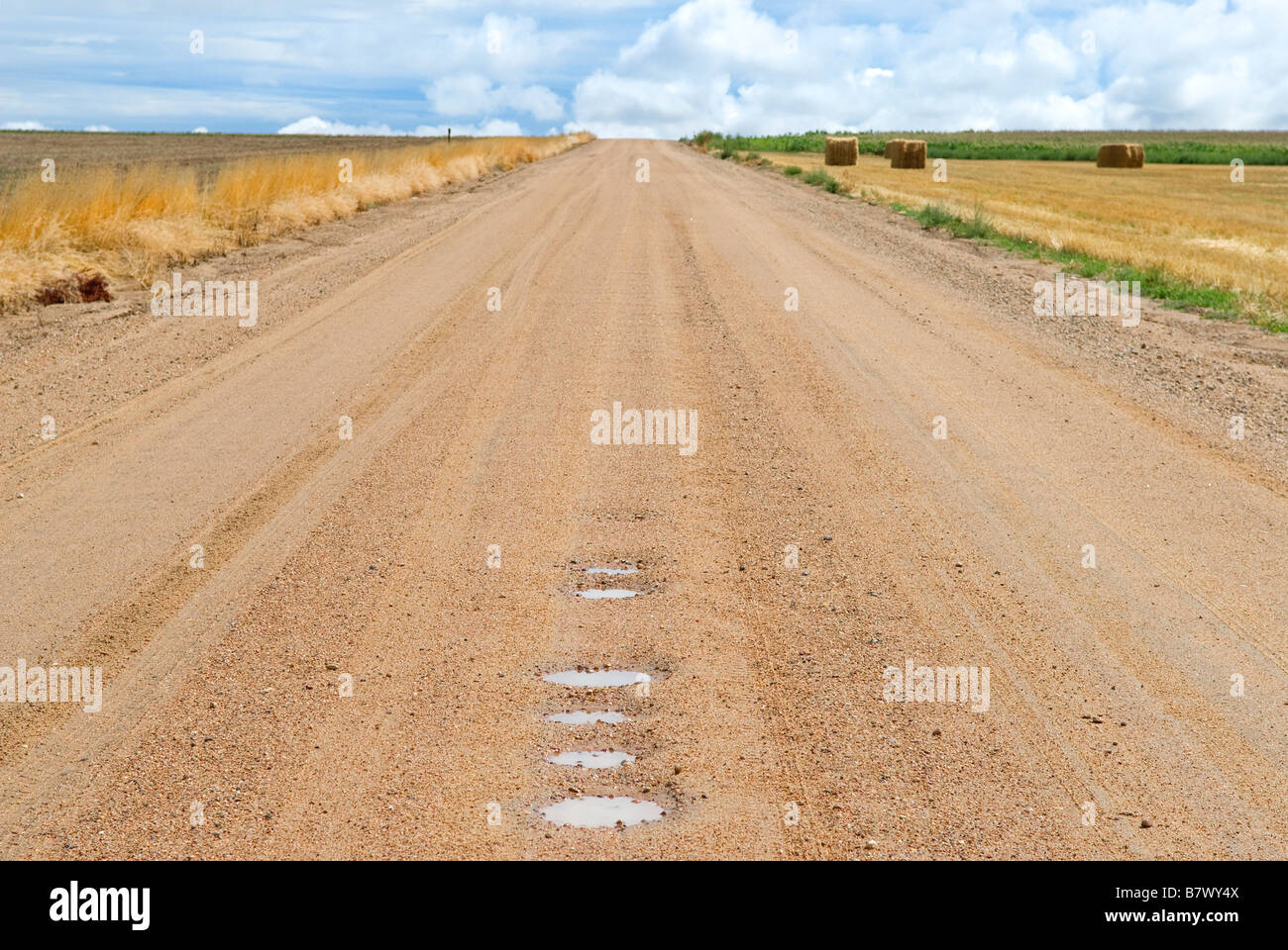La ricerca di una vasta rosso su strada sterrata con sacche di acqua da una recente pioggia, taglia attraverso campi agricoli di fieno Foto Stock