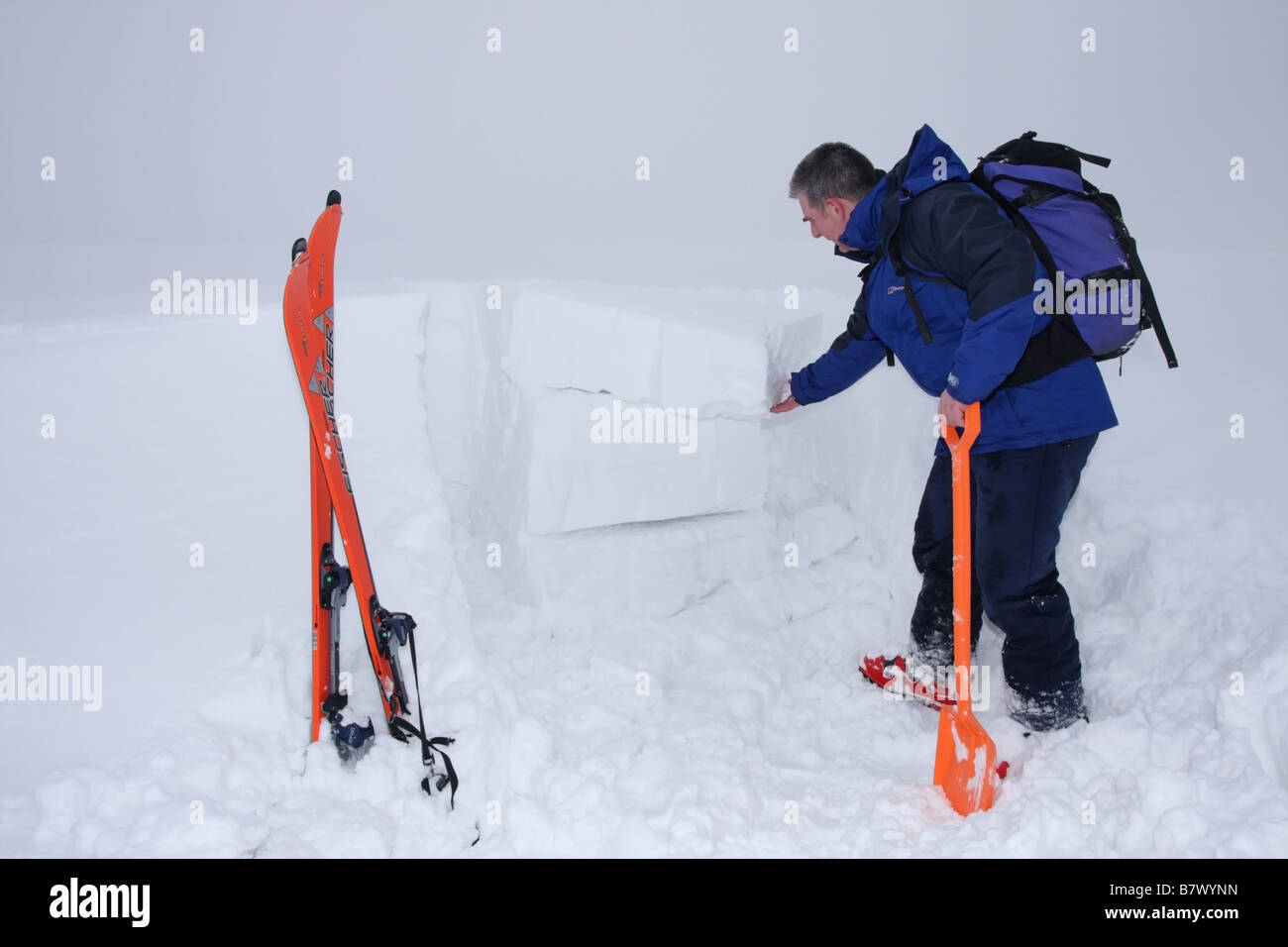 Sciatore che mostra il risultato di una pala prova di taglio al fine di valutare il pericolo di valanghe, Regno Unito Foto Stock Sciatore che mostra il risultato di una pala prova di taglio al fine di valutare il pericolo di valanghe, Regno Unito Foto Stock