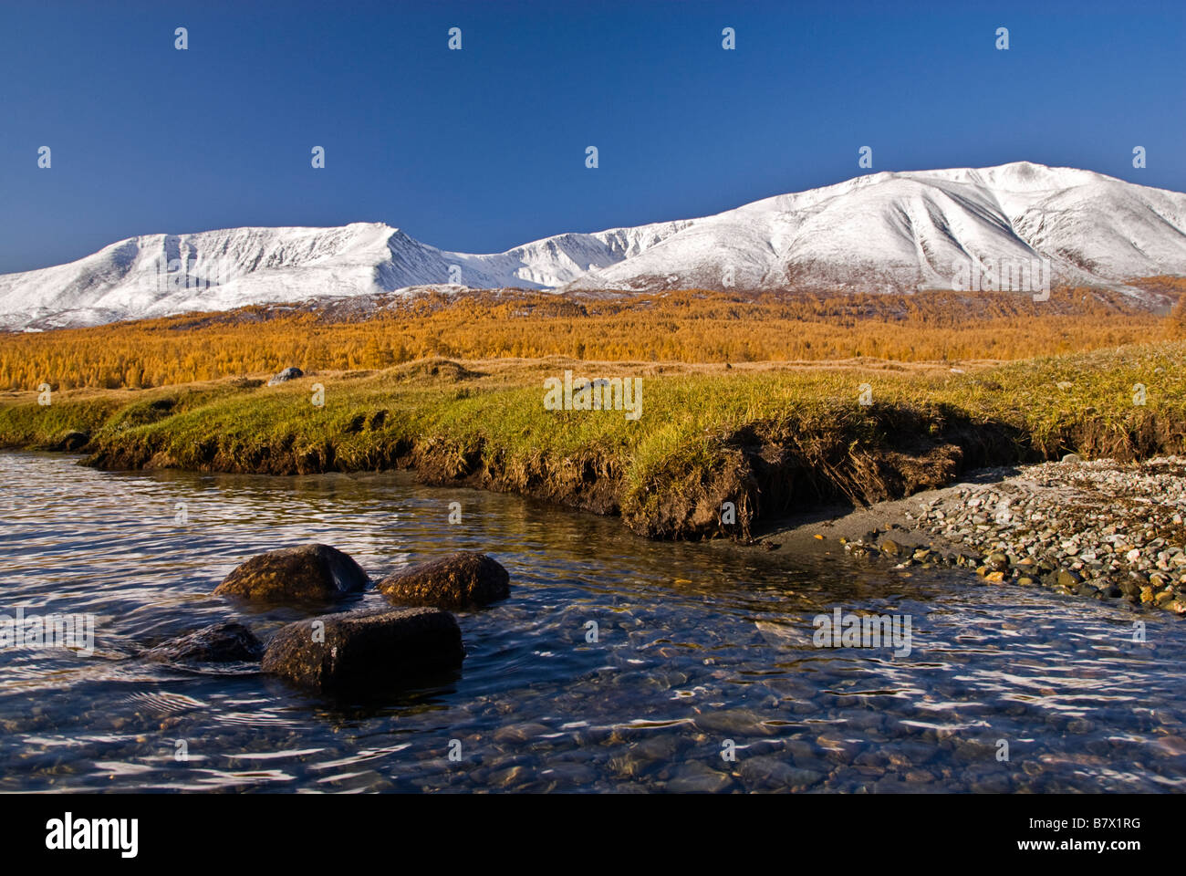 Paesaggio di Altai Tavan Bogd Mongolia occidentale Foto Stock