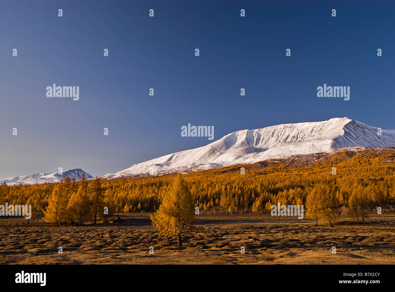 Paesaggio di Altai Tavan Bogd Mongolia occidentale Foto Stock