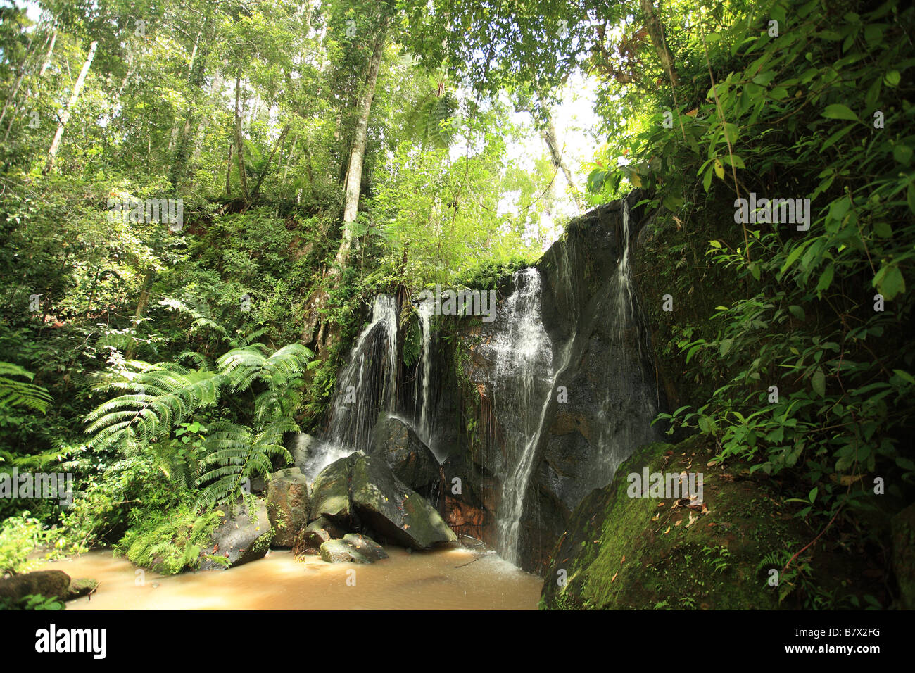 Cascata nella foresta pluviale Foto Stock
