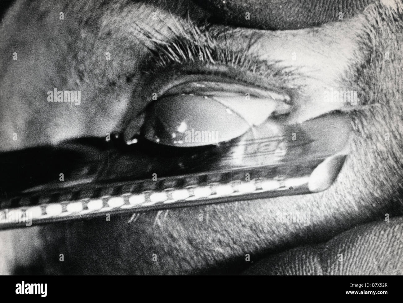 Nazioni Unite chien andalou un cane andaluso Anno: 1929 - FRANCIA DIRETTORE: Luis Bunuel Foto Stock