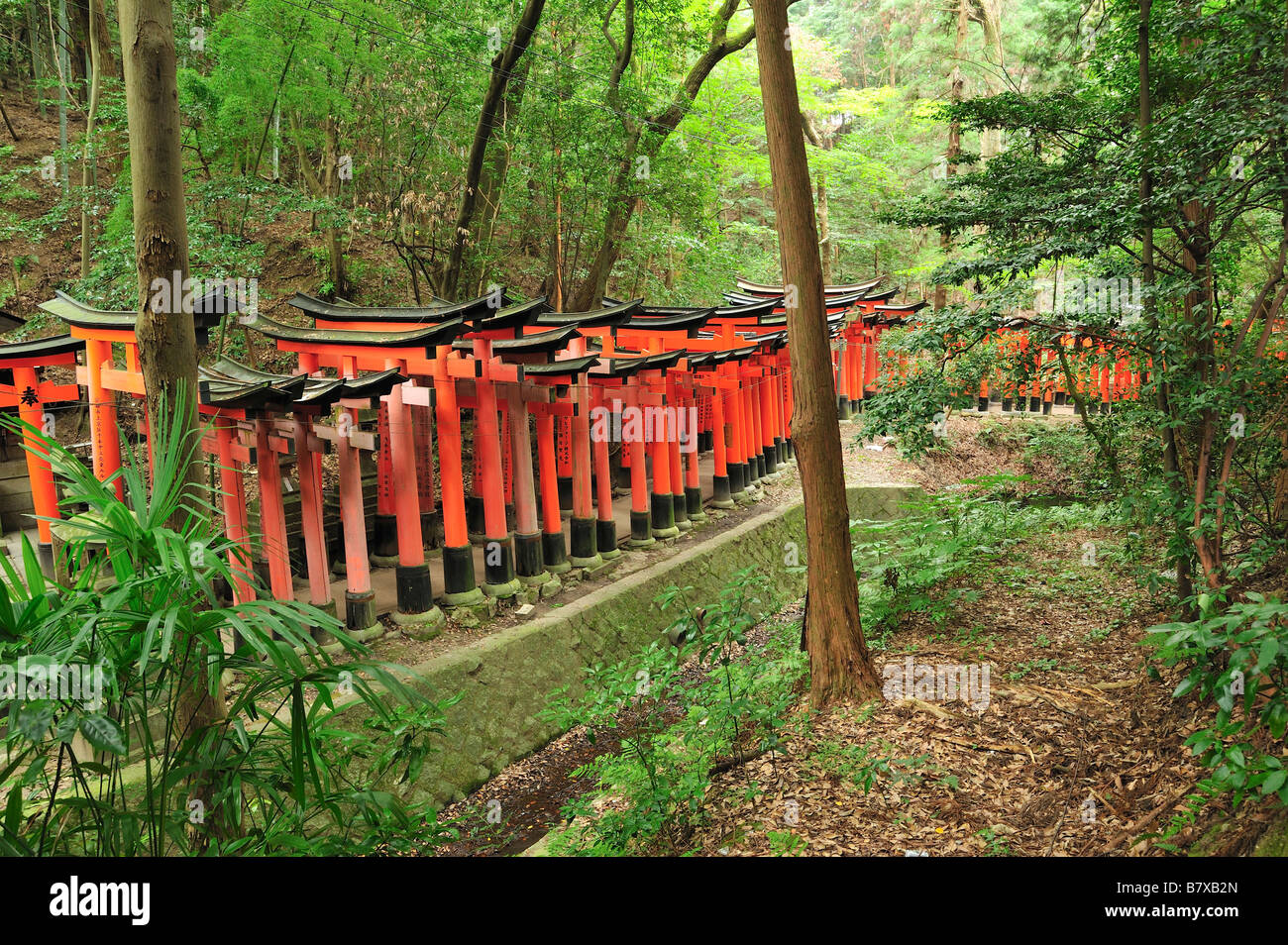 Fushimi Inari Taisha, Kyoto, Giappone Foto Stock