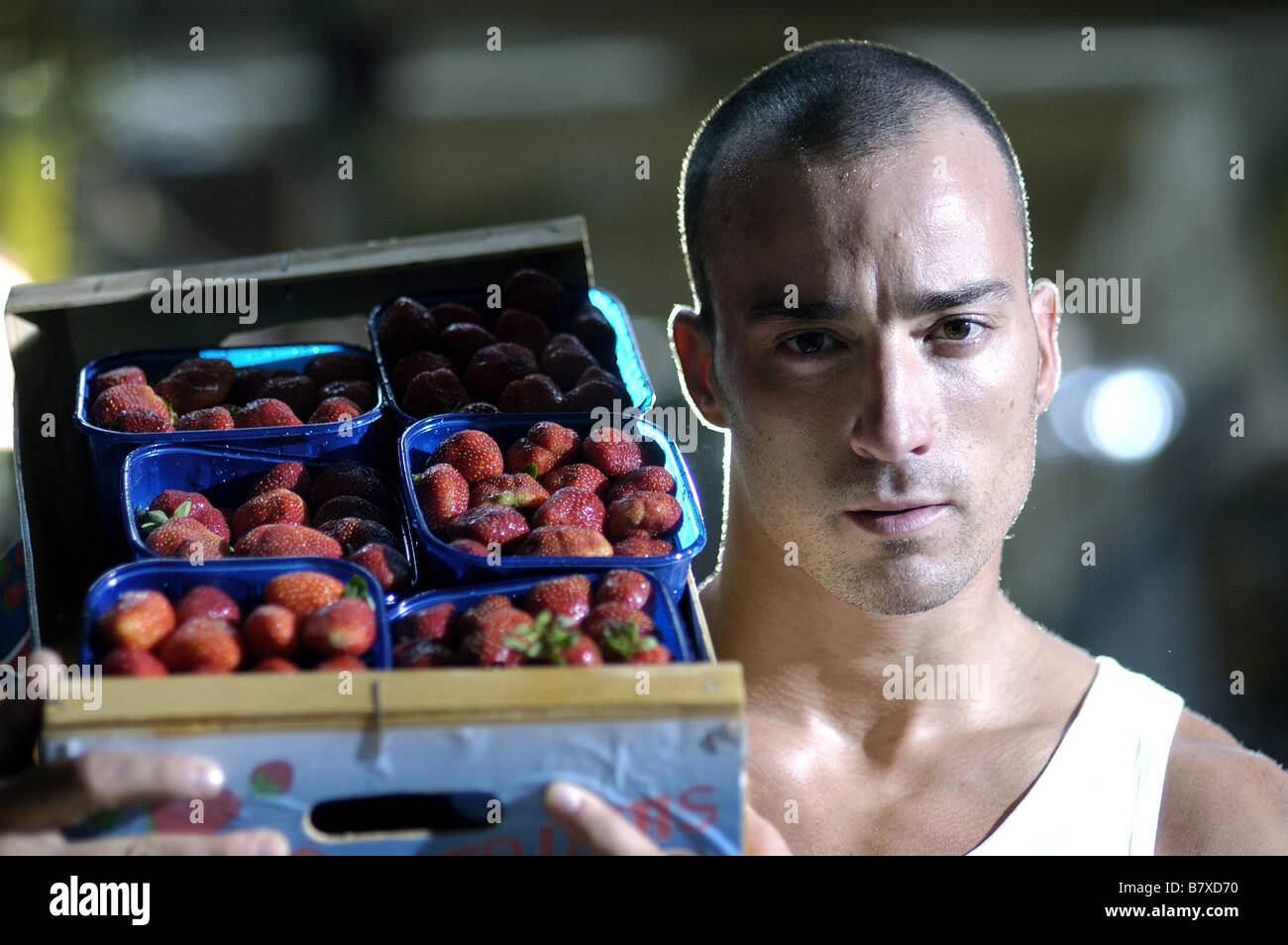 20 centimetri 20 centímetros Anno: 2005 - Spagna Pablo Puyol Direttore: Ramon Salazar Foto Stock