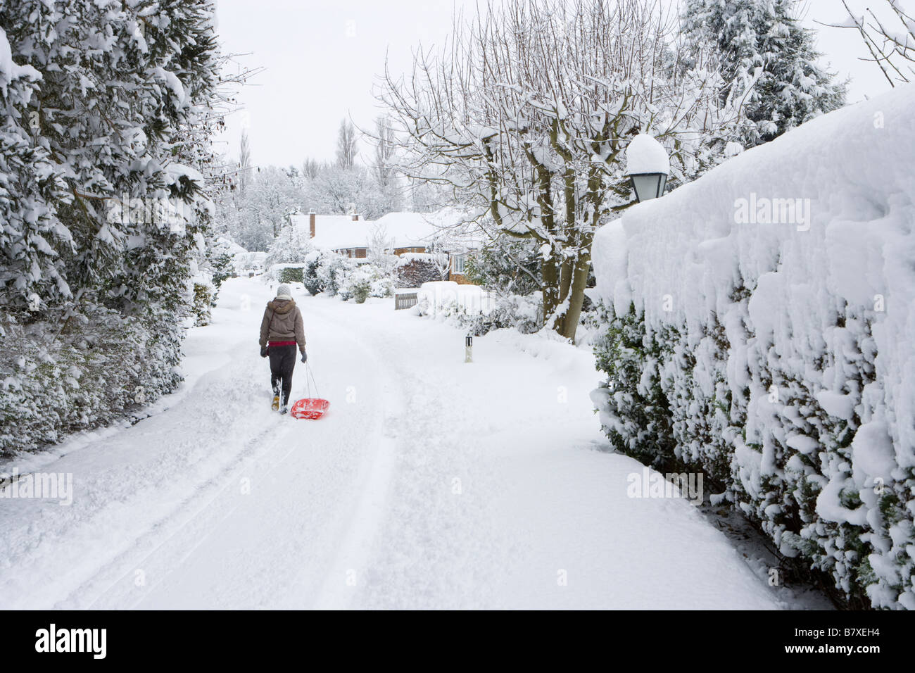 Ragazza con slitta in strada residenziale in inverno. Surrey, Regno Unito Foto Stock