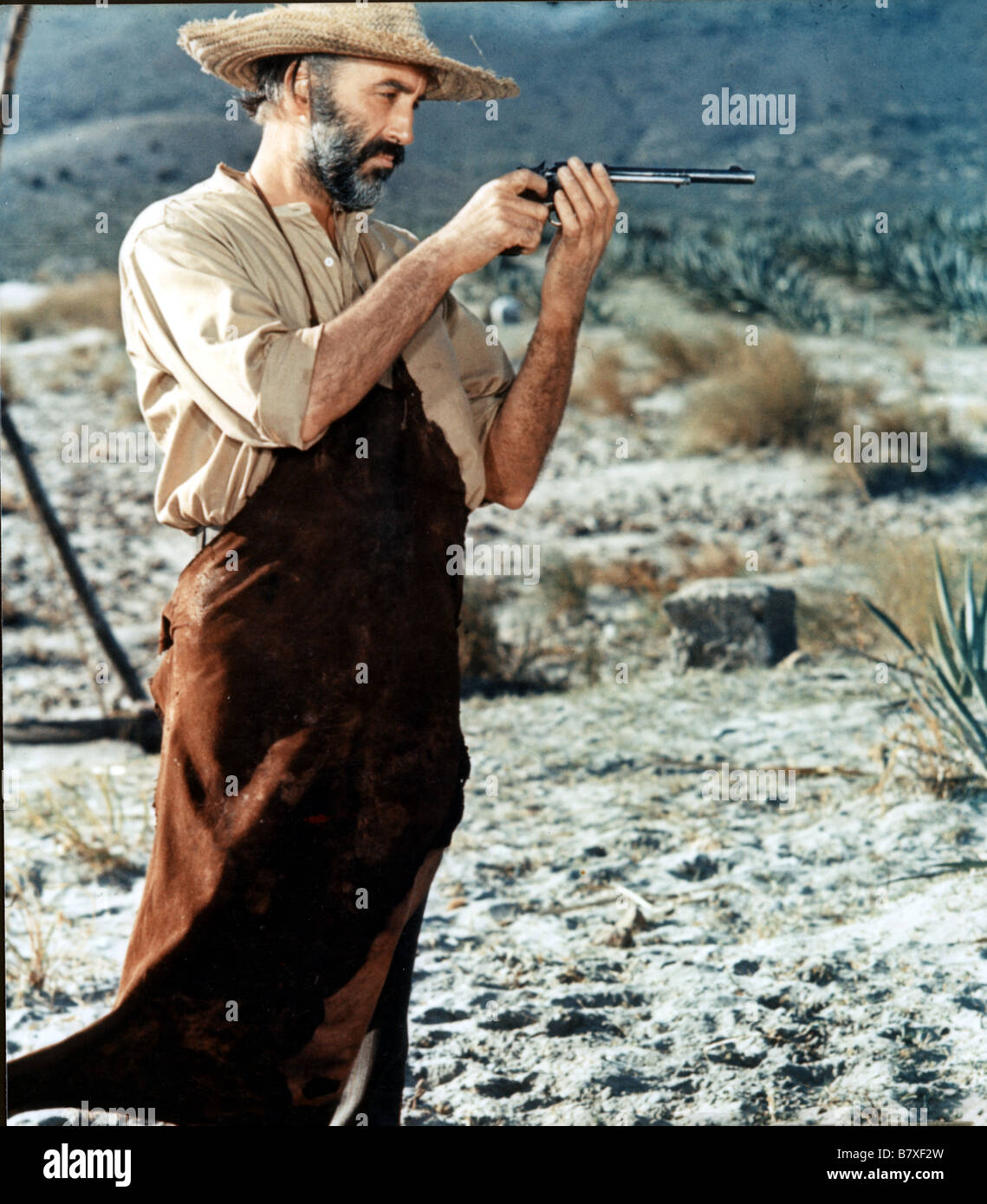 Hannie Caulder Anno: 1971 UK Christopher Lee Direttore: Burt Kennedy Foto Stock