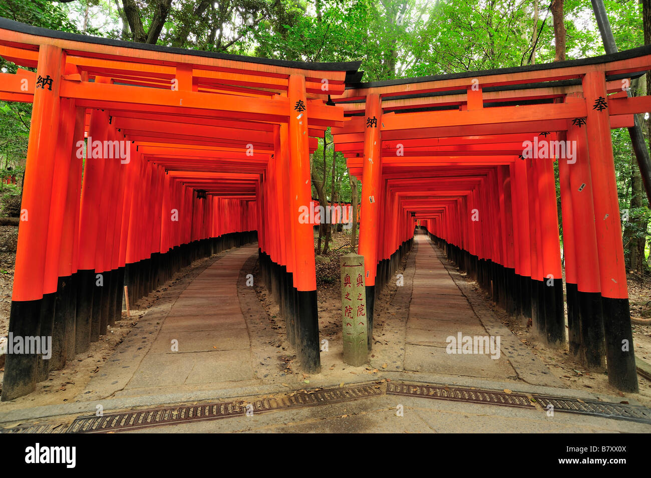 Fushimi Inari Taisha, Kyoto, Giappone Foto Stock