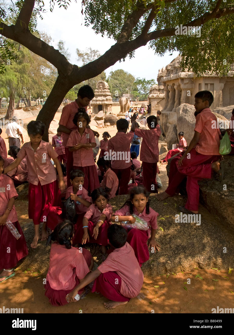 La scuola dei bambini visitando le cinque Rathas Foto Stock